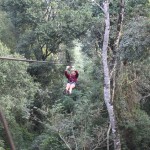 Flying through the canopy