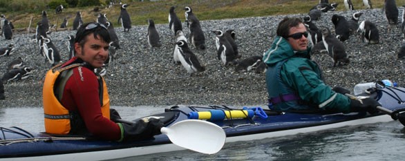 Kayaking in Tierra del Fuego