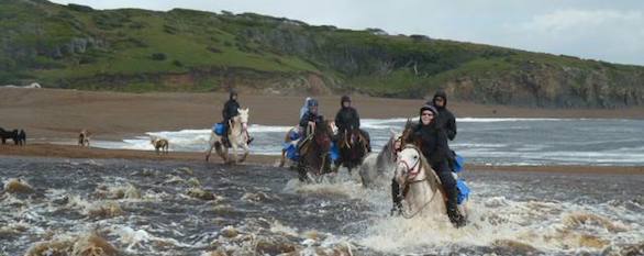 Horseback adventures in Tierra del Fuego