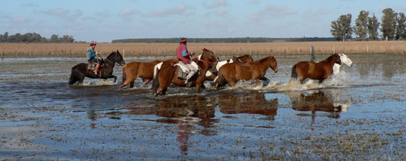 horse riding holiday in the ibera wetlands