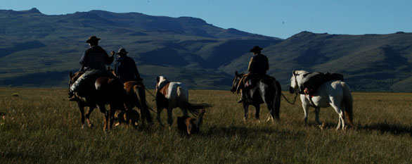 Cattle drive vacation in Patagonia